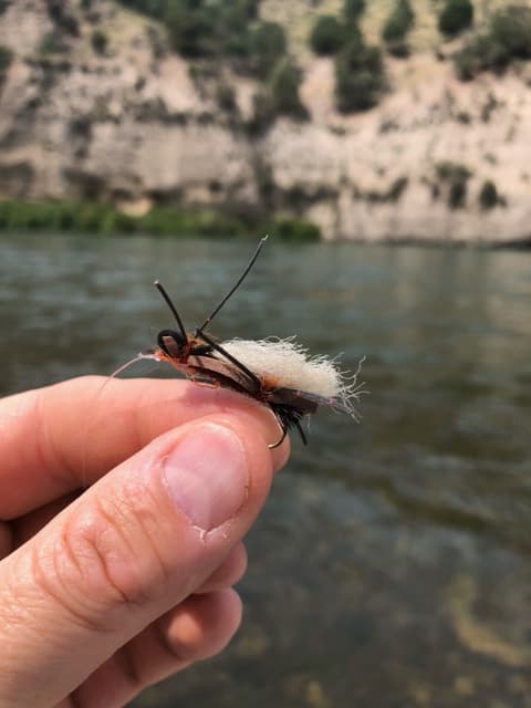hand hold fly for fly fishing