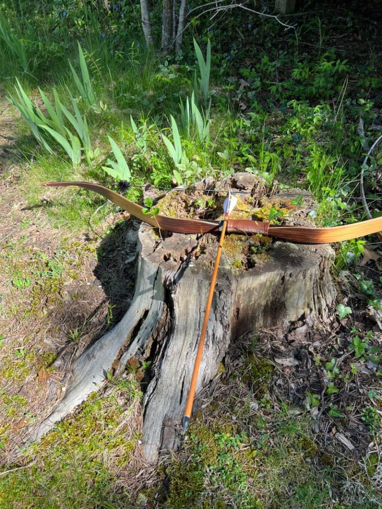 Raptor bow with arrow set on tree stump